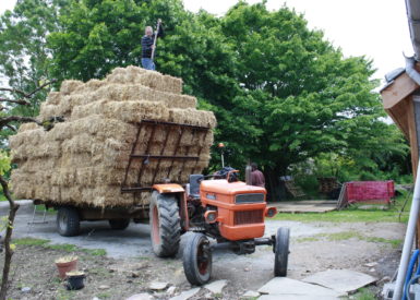 Saint-mars-du-desert-tracteur-paille