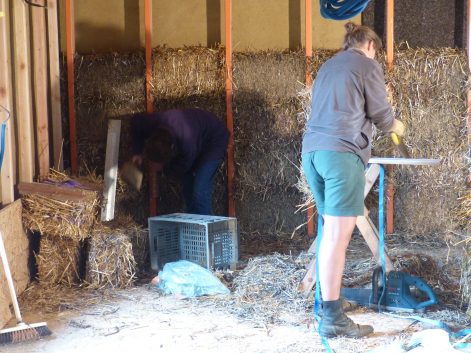 2013 (Octobre) – St Mars de Coutais (44) – Cendrine et Patricia – Christelle – Rénovation – ITI – bottes et terre-paille – corps d’enduit terre 4
