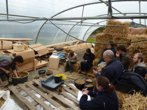 2013 (maison finie en 2015) – La Pouèze (49) – Aude et Denis – Christelle – murs bottes de paille + corps d’enduit en terre + décorations 14