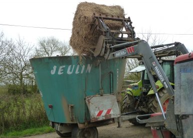 2013 (maison finie en 2015) – La Pouèze (49) – Aude et Denis – Christelle – murs bottes de paille + corps d’enduit en terre + décorations 9