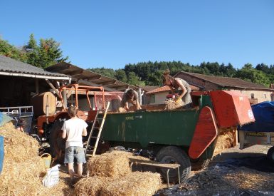 2016 – Ambierle (42) – Stephanie – Stéphanie -isolation en terre paille allégée, adobes-5