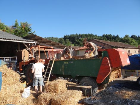 2016 – Ambierle (42) – Stephanie – Stéphanie -isolation en terre paille allégée, adobes-5