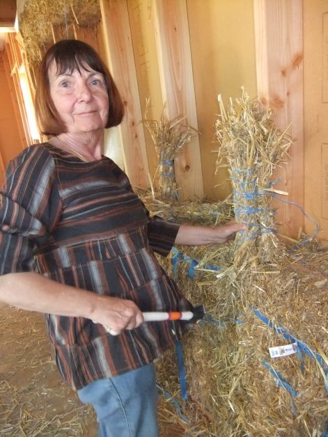 Chantier participatif de corps d’enduit terre sur paille-Sainte Anne sur Brivet-44-Gwen et Tamara-Mickaël Verger-2016-13