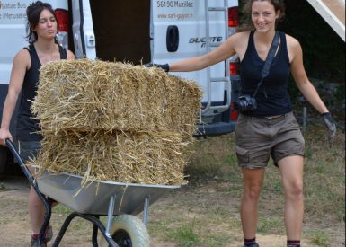 Sarzeau-56-2014-2015-Gilles et Claire-Mickael Verger-Maison en paille golfe morbihan-06