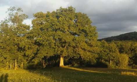 20160820_200651