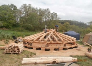 charpente réciproque en cèdre rond - maison dodécagonale - fondations pneus