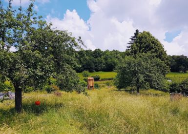 2018-Chateau-71-Adele et Romain-Stephanie-terre allégée-4