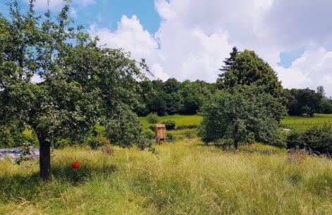 2018-Chateau-71-Adele et Romain-Stephanie-terre allégée-4