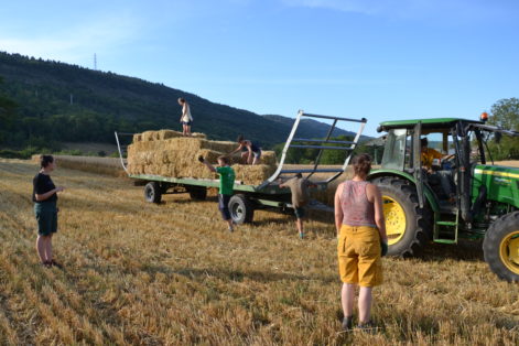2019-Grand Corent-71-steph-Anne et Benjamen-paille et cdc-0b