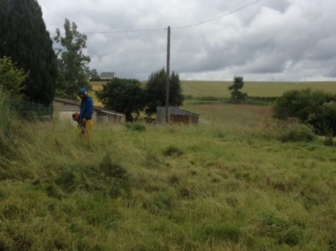 contruction paille et terre sixt sur Aff