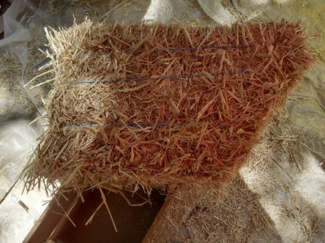 Bottes de paille debout-Blaison Gohier-2020-2