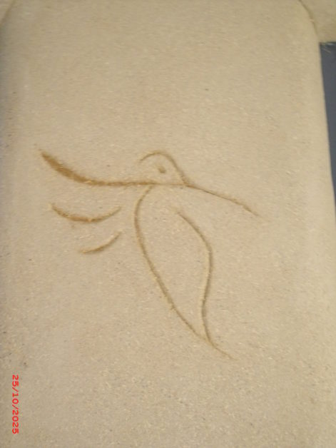 St Malo de Guersac – 44 – 2020 – Maëlle & Sébastien – Christelle – Finitions – 10