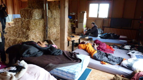 2022 – Nozay (44) – Marion et Antoine – Christelle – Paille – 6