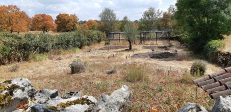 2023 Trégoux 46-Julie-le-potager-