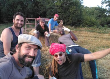 ramassage des bottes de paille