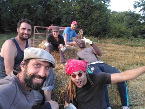 ramassage des bottes de paille