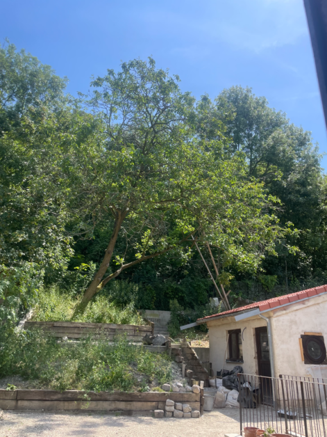 Pantin_cabanon